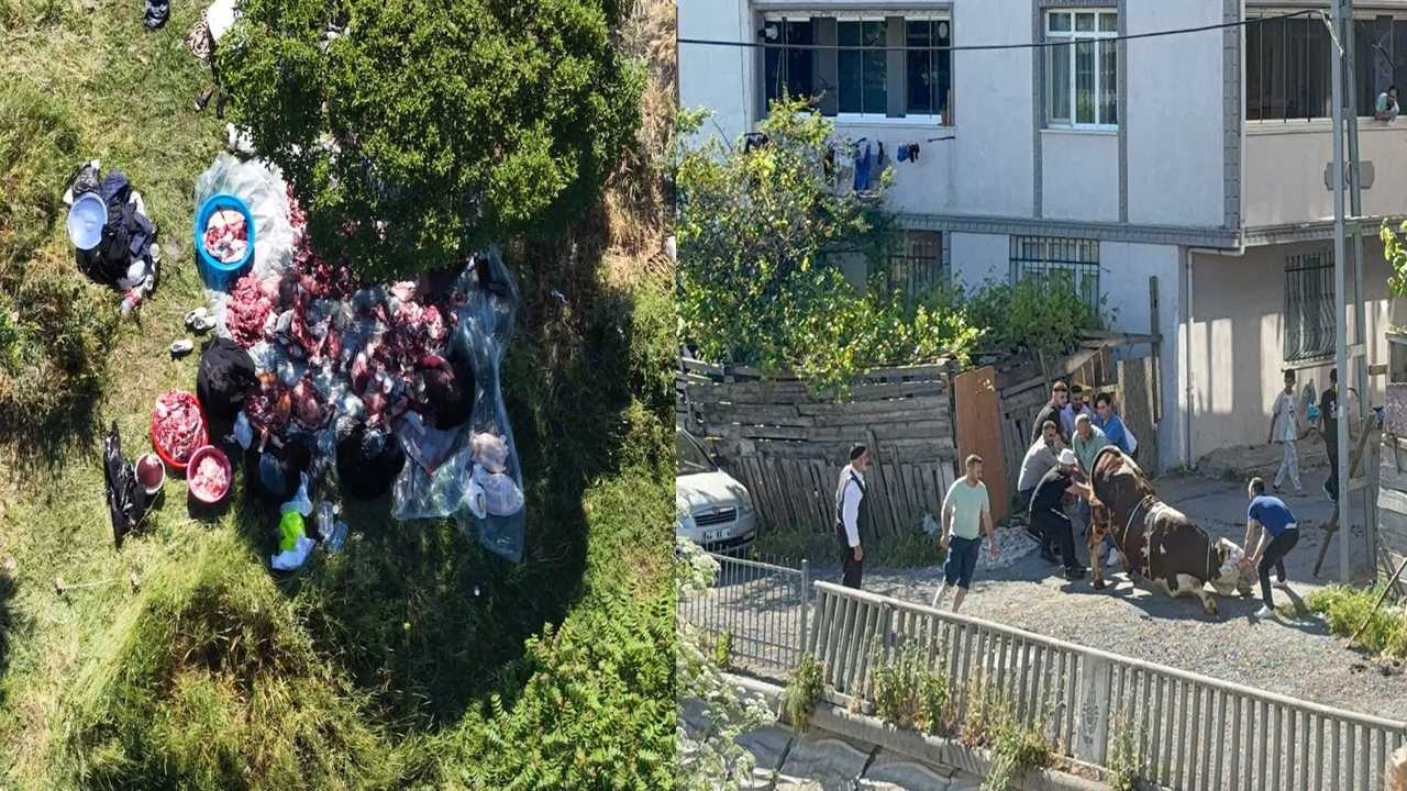 Yıllar geçiyor, bu görüntüler değişmiyor! Sokak ortasında kaçak kesim manzaraları…